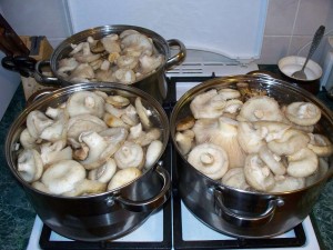 Рецепты приготовления морского на гриле Рецепты приготовления морского на гриле